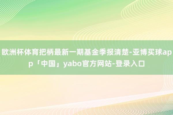 欧洲杯体育把柄最新一期基金季报清楚-亚博买球app「中国」yabo官方网站-登录